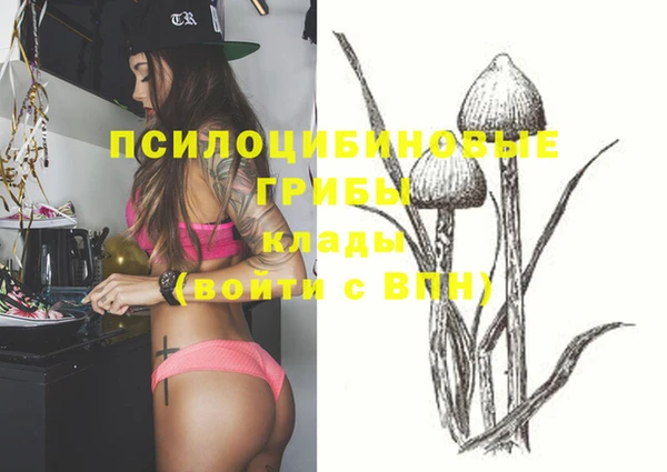 прущие крисы Абдулино