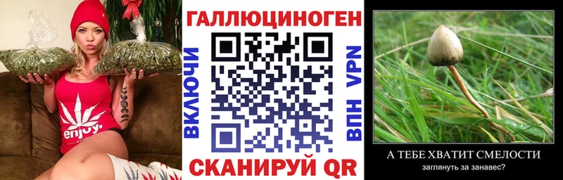Псилоцибиновые грибы ЛСД  KRAKEN зеркало  Красный Сулин 