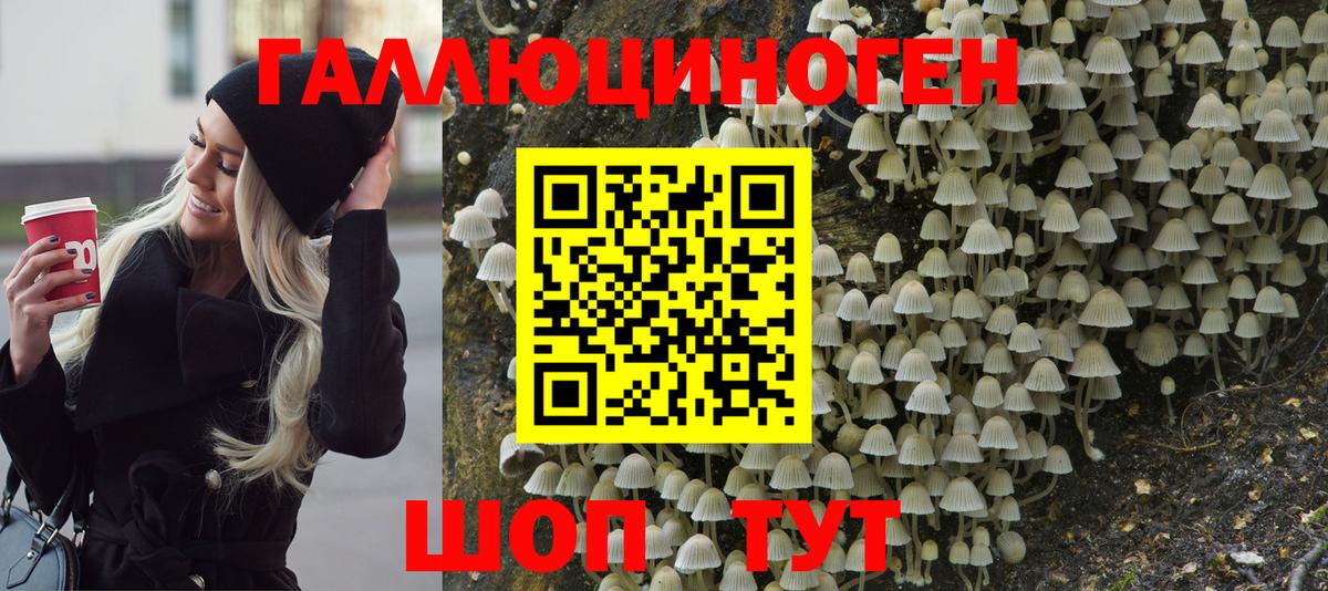 Псилоцибиновые грибы Cubensis  где купить наркотик  Вход с VPN  Красный Сулин  Галлюциногенные грибы Psilocybine cubensis 