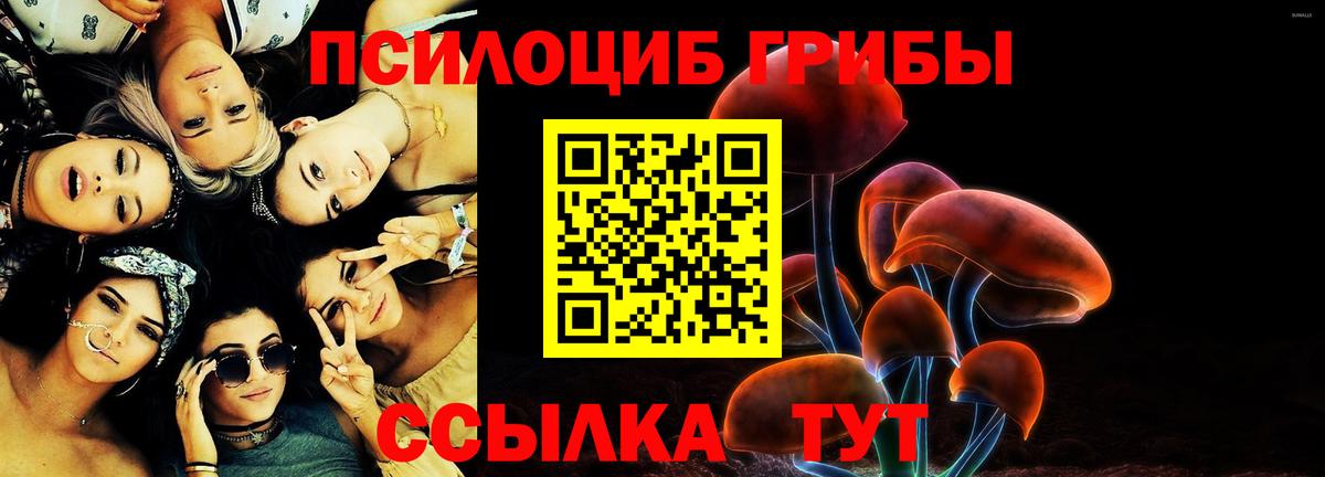 Галлюциногенные грибы Psilocybine cubensis Красный Сулин