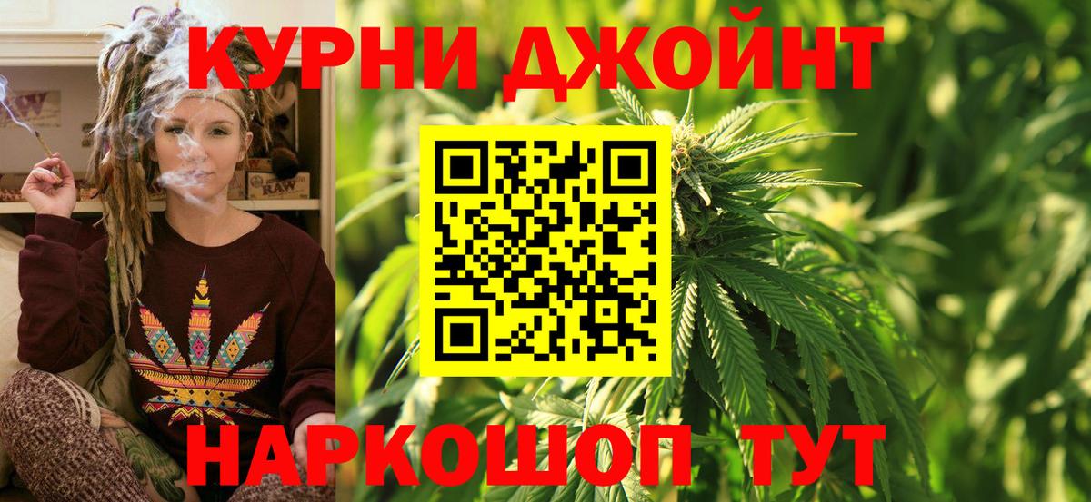 Каннабис конопля Красный Сулин
